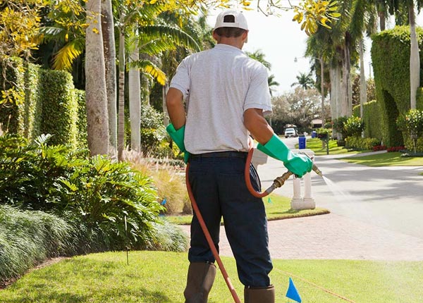About Farrar MO Pest Control